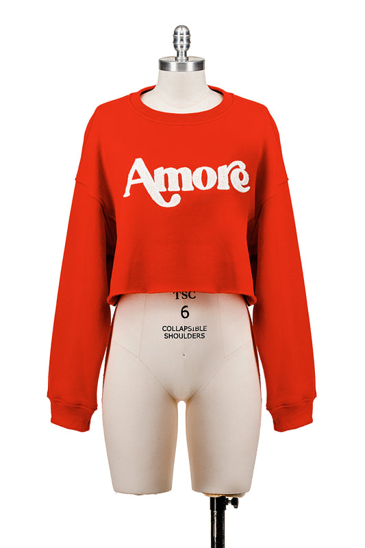 LONG SLEEVE FLEECE SWEATSHIRT WITH GRAPHIC FLOCKING